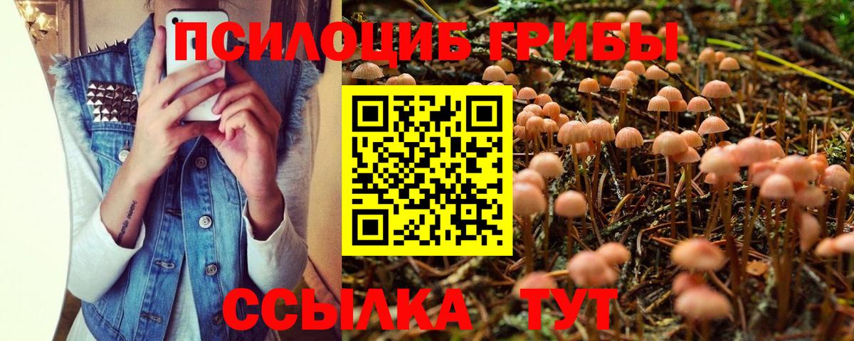 где купить наркотик  Псилоцибиновые грибы прущие грибы  Вход с VPN  Дятьково 