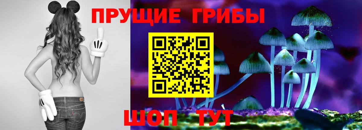 Псилоцибиновые грибы прущие грибы Дятьково